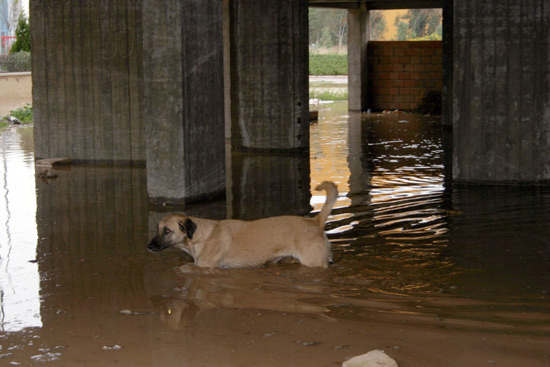 İzmirde sel-resimleri