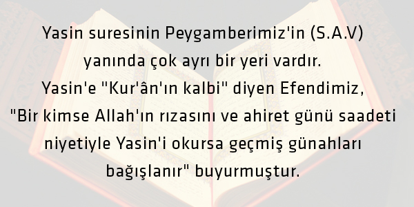 'Her gece okuyan şehit olarak ölür'